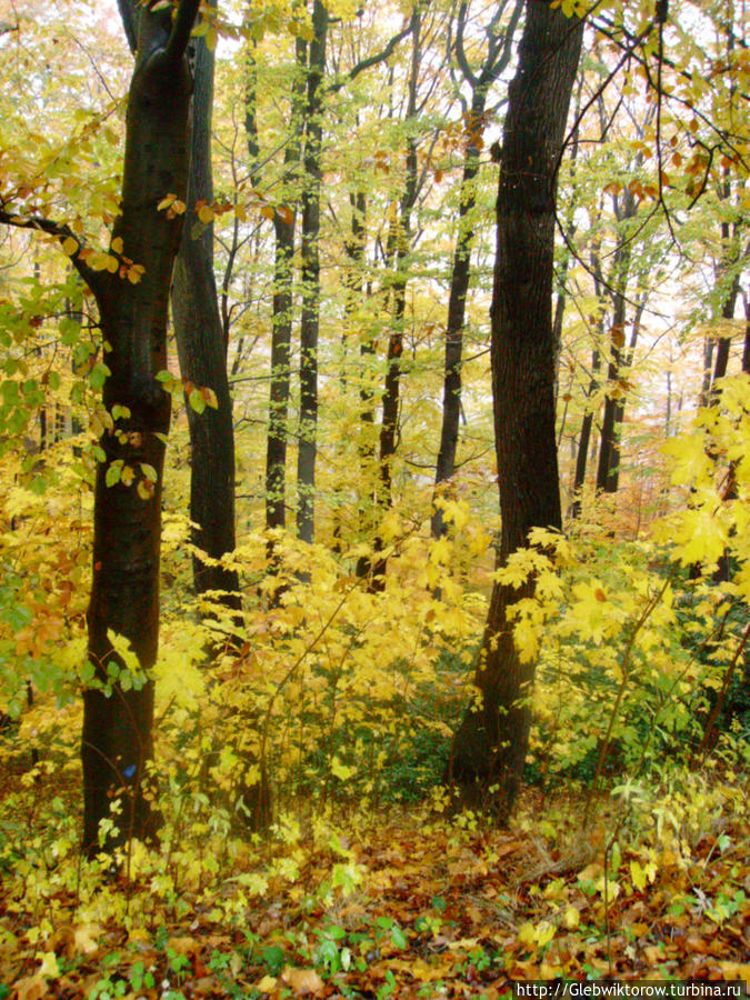 Książ Park Валбжих, Польша