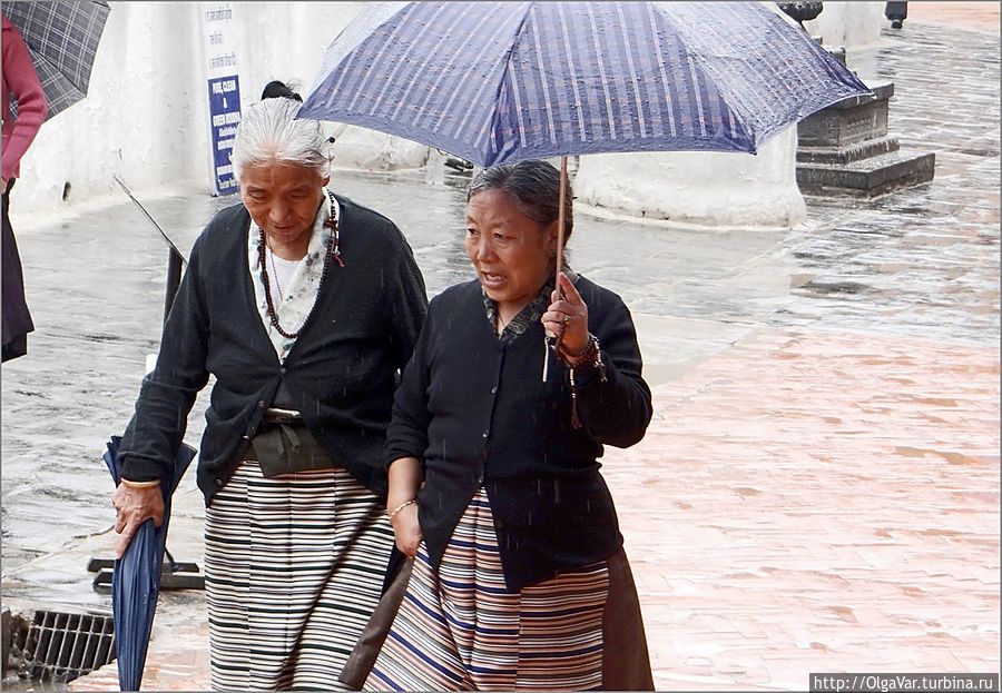 Полосатенькие...