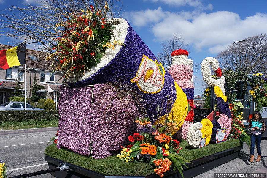 Цветы провинции. Парад цветов поделка в школу. Замок эгин франция прованс. Цветы провинции. Цветы провинции.