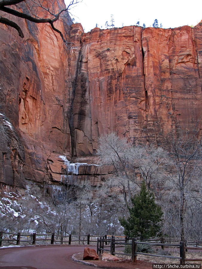 Погружение в каньон Зион. Zion Canyon Scenic Drive Национальный парк Зион, CША