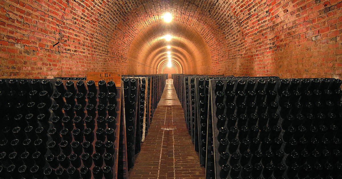 Погреба шампанского дАй — подземная часть / Cave d’Aÿ — Underground