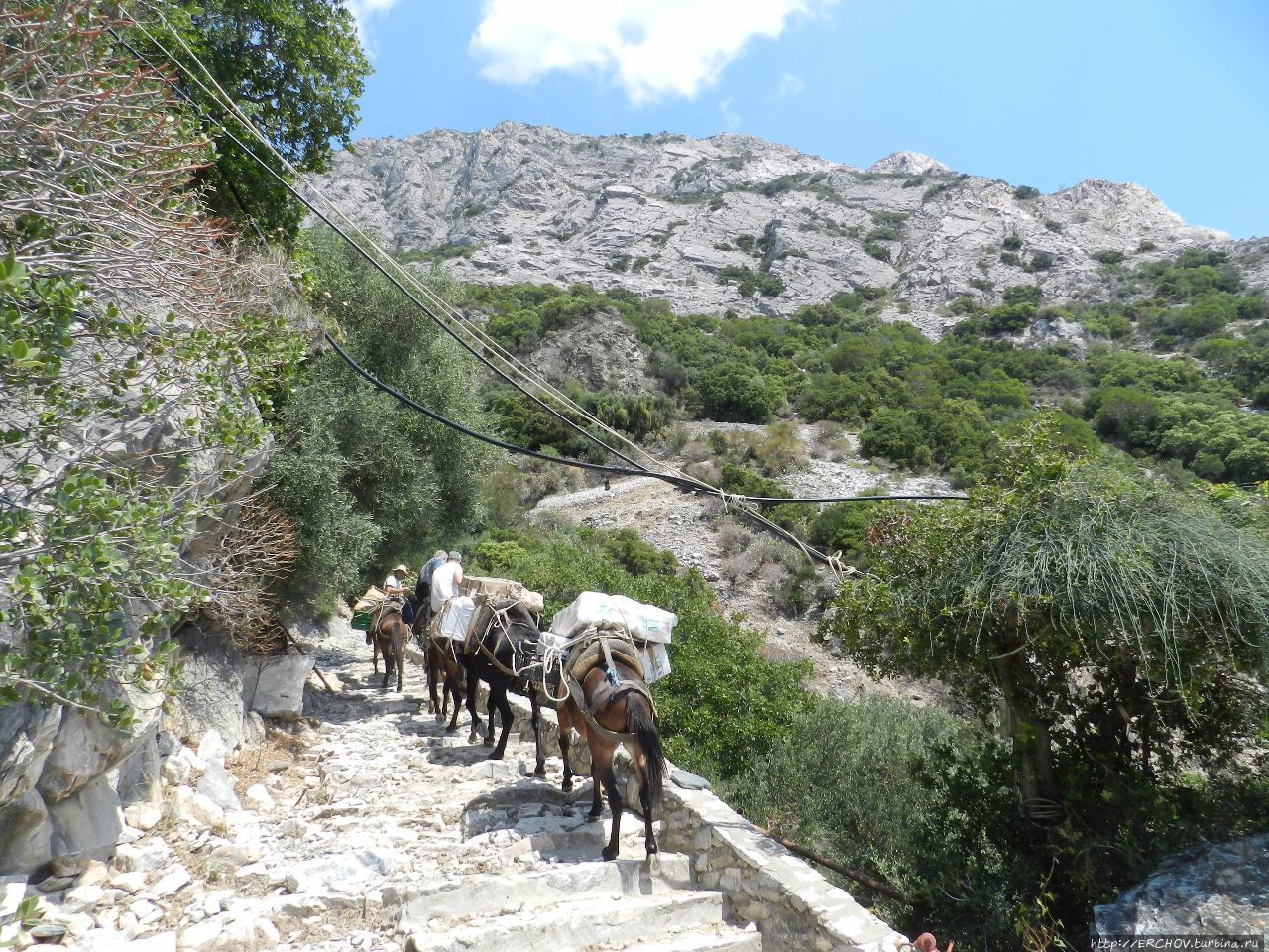 У Старца Автономное монашеское государство Святой Горы Афон, Греция