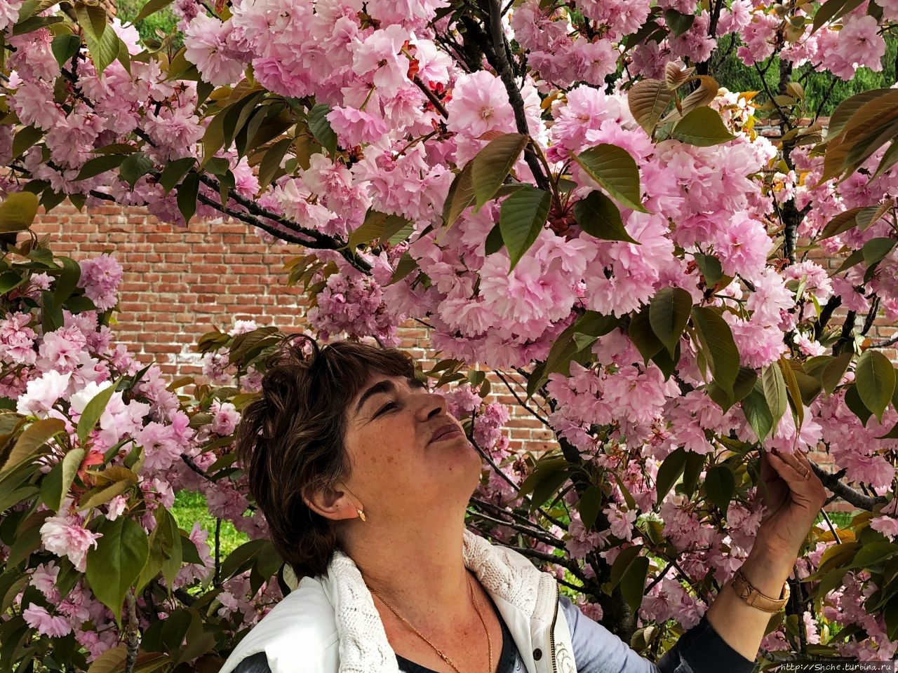 Крепость Альба-Каролина Алба-Юлия, Румыния