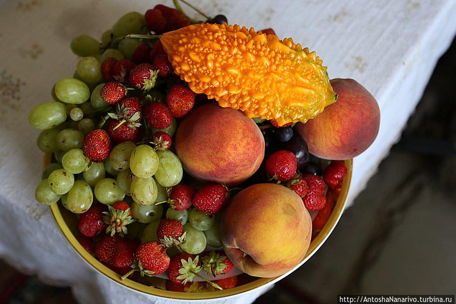 Момырдык Кишинёв, Молдова