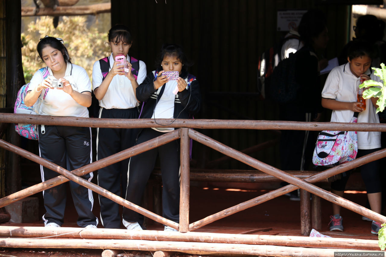 Зоопарк Лимы Лима, Перу