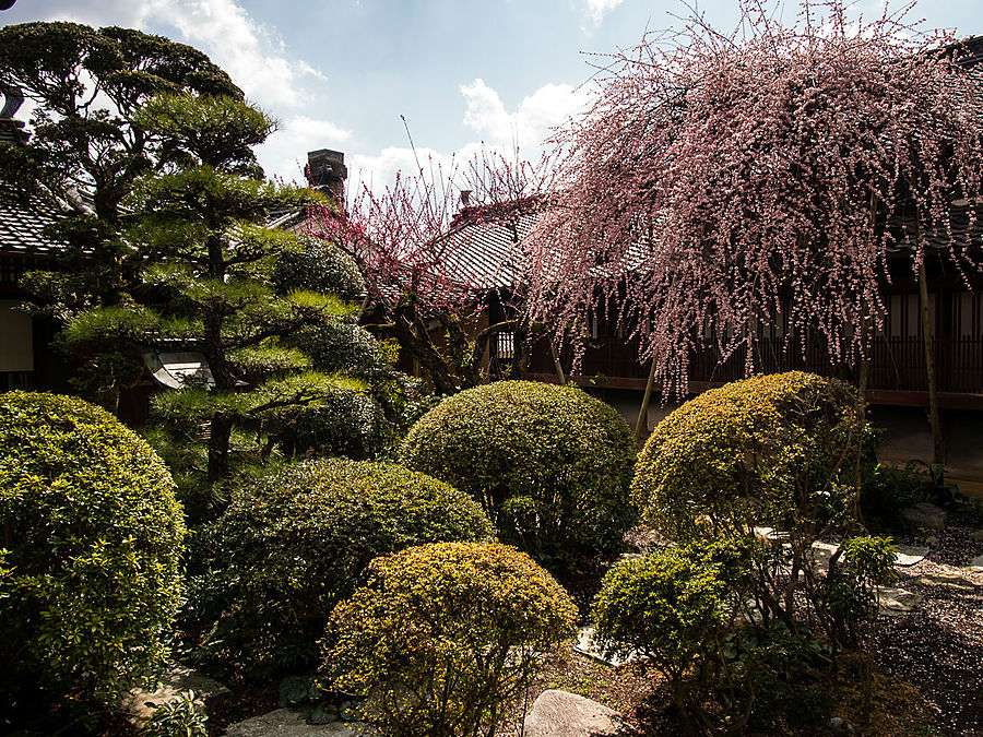 Сад во внутреннем дворике. Очень симпатичный. Утико, Япония