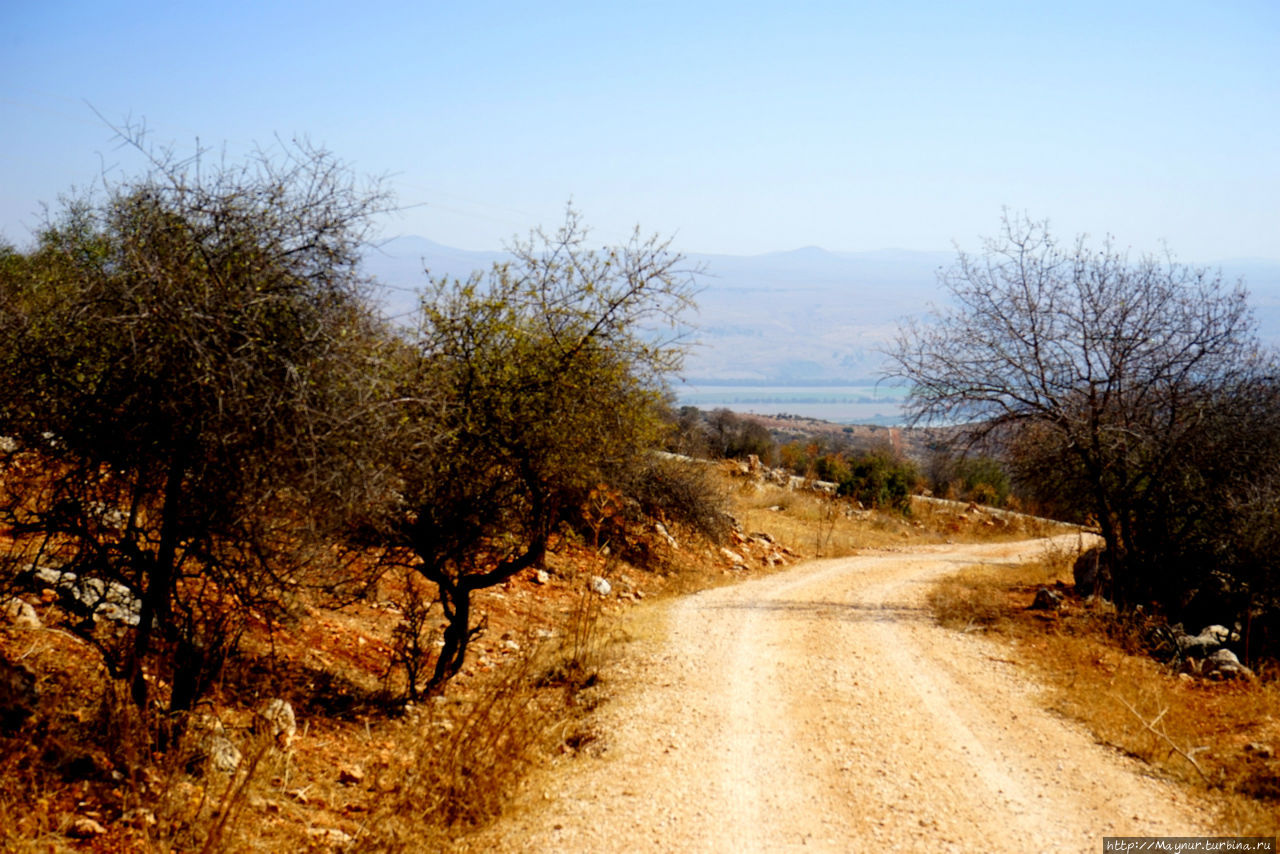 Дорога в  сторону  долины  Дишон. Мерон (город и гора 1208м), Израиль