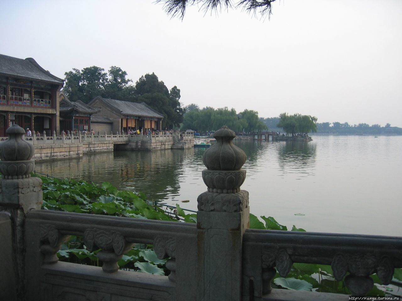 Парк Ихэюань – Парк процветания и гармонии. Рукотворное озеро Куньмин. Восточные Дворцы. Отцветшие лотосы Пекин, Китай