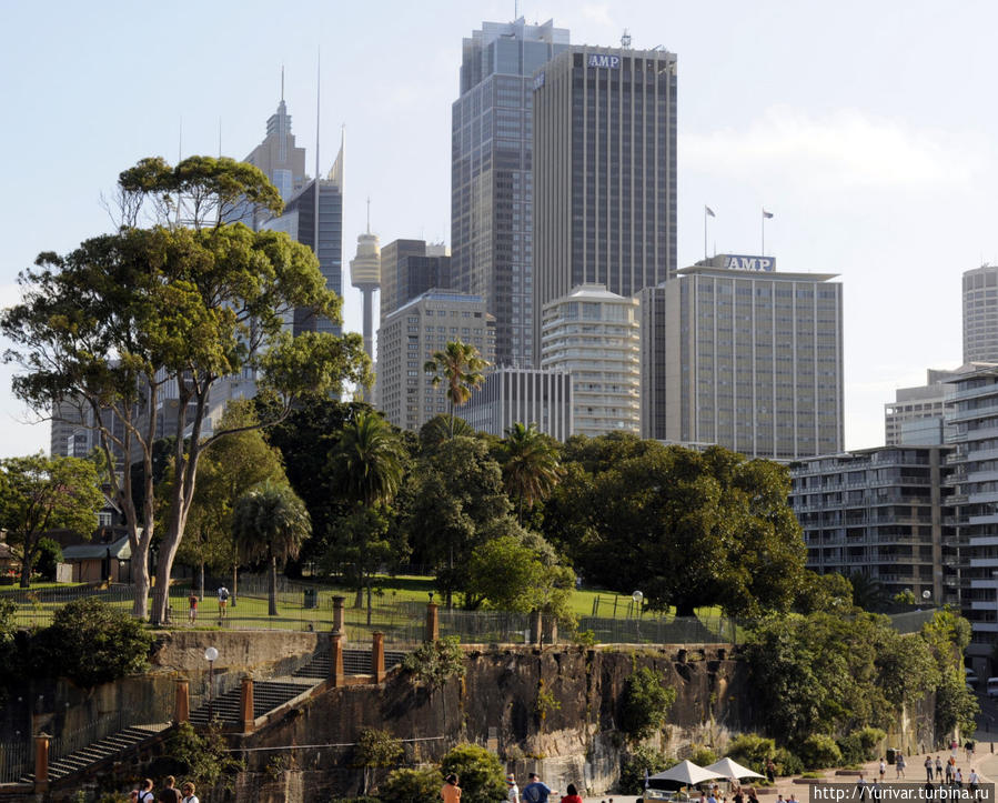 Сидней очень зеленый город — кругом зеленые парки Сидней, Австралия