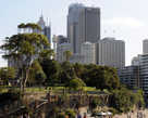 Сидней очень зеленый город — кругом зеленые парки