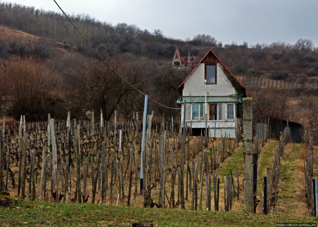 Смотровая площадка 