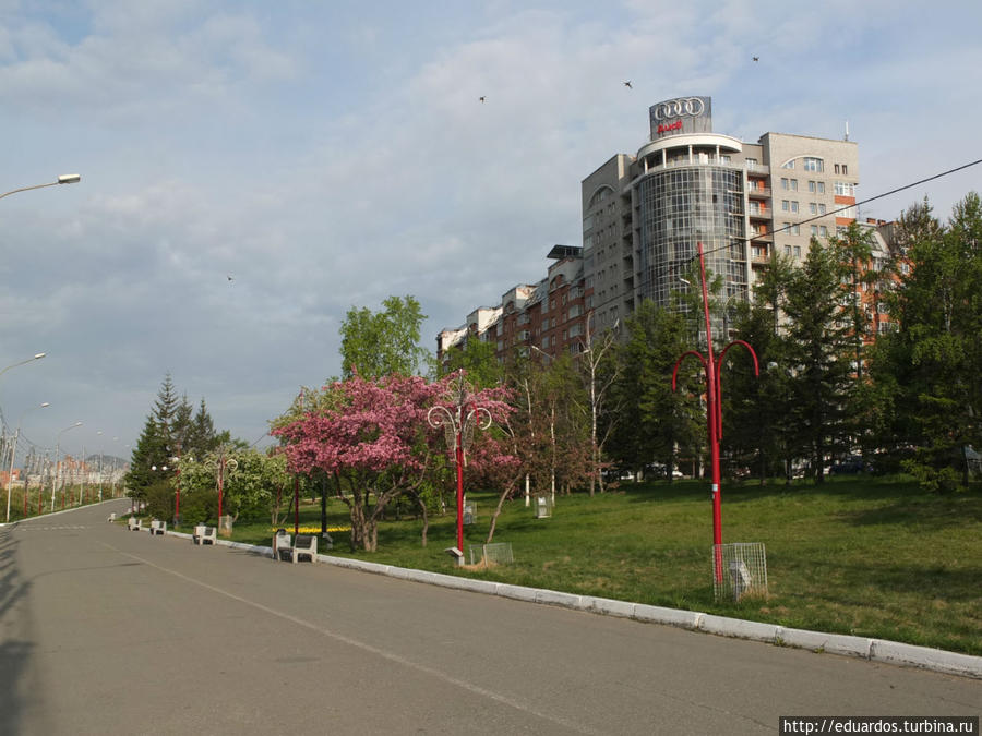 Всё в цвету, почти как в 