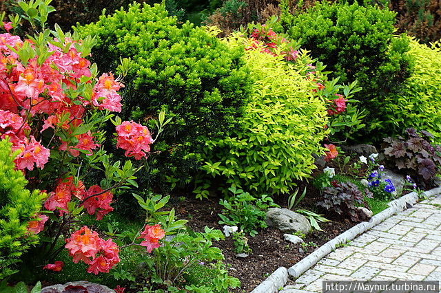 День музея Южно-Сахалинск, Россия