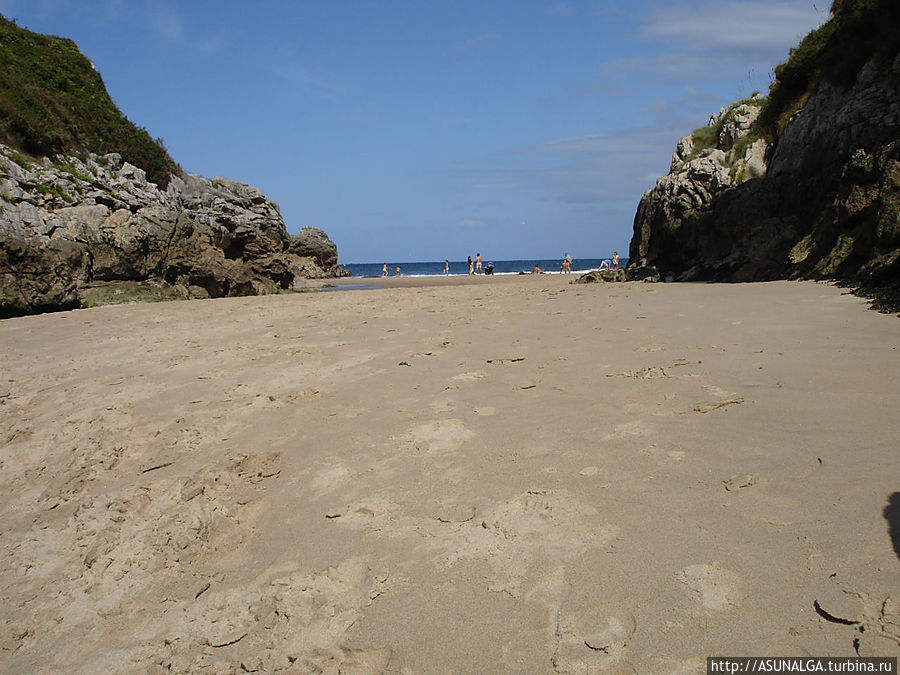 Астурию не зря называют «Зелёной Испанией». Ее флора отличается большим разнообразием.