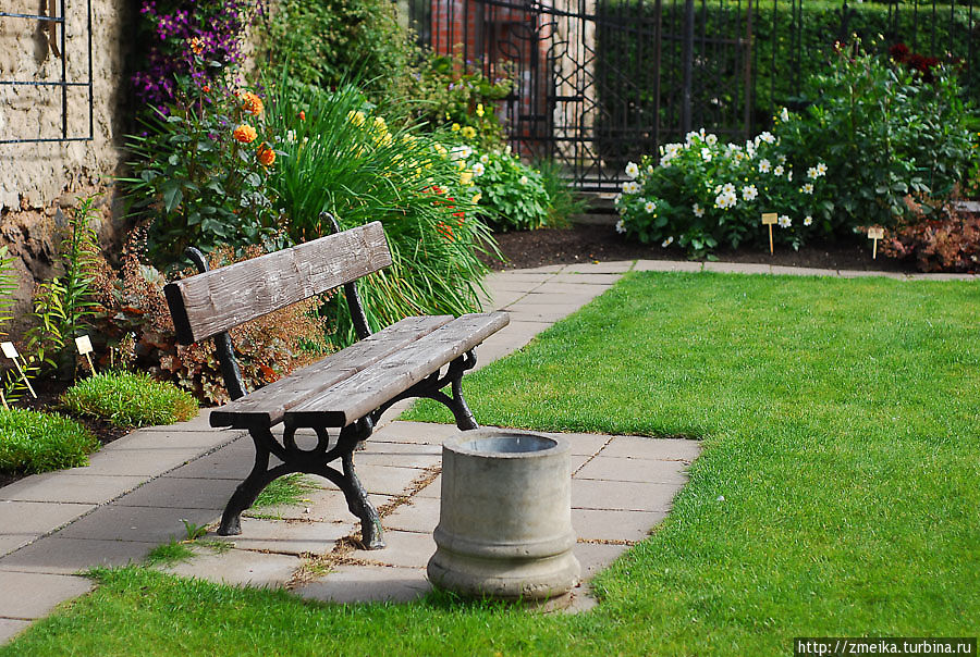 Рай для ботаника Тарту, Эстония