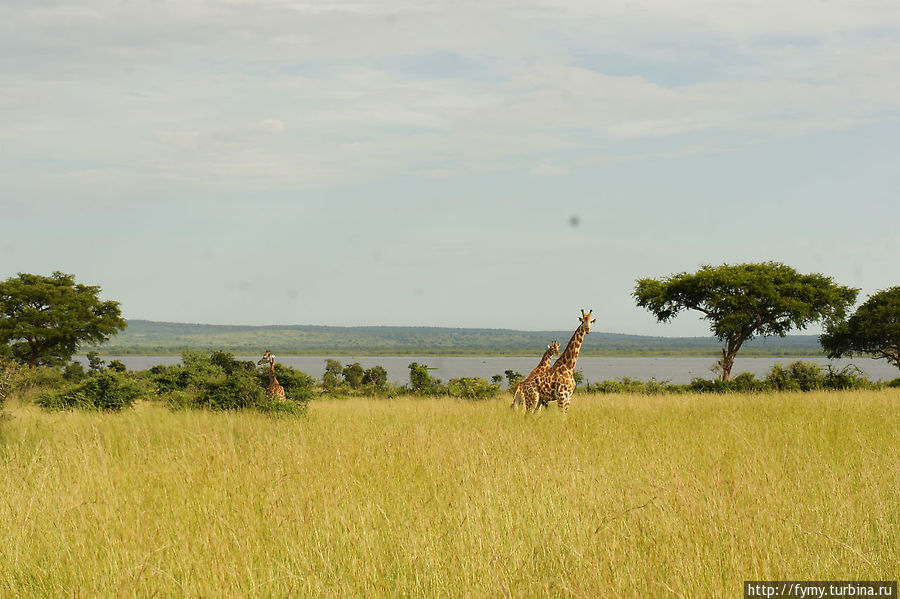 От Кампалы на север Уганда