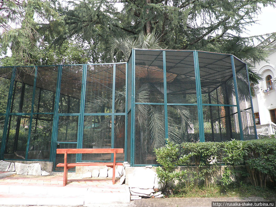 Санаторий Амра Гагра, Абхазия