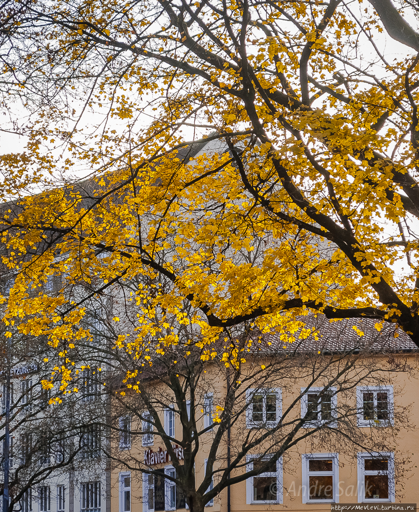 Тёплый и симпатичный ноябрьский Мюнхен Мюнхен, Германия