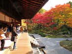 Сад храма Санньюдзи, один из красивейших в Киото