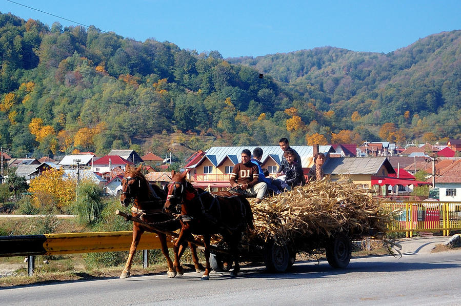 На румынских дорогах часто можно встретить гужевые повозки Куртя-де-Арджеш, Румыния