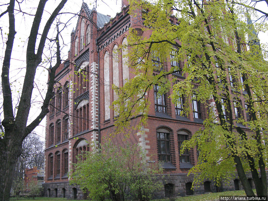 Осень в Риге или Приветствую тебя, золотая пора Рига, Латвия