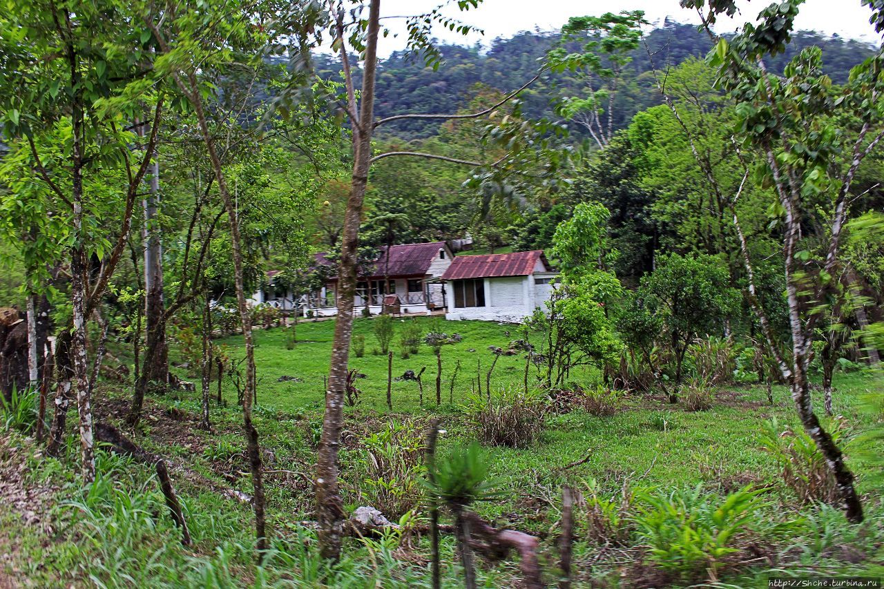 Гватемала. Зелено! Ланкин, Гватемала