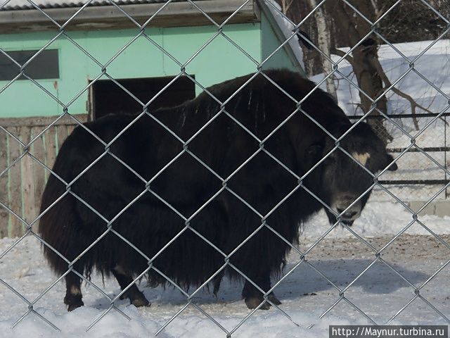 Парк им. Ю. А. Гагарина Южно-Сахалинск, Россия