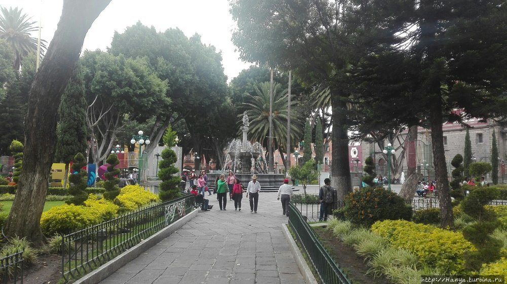 Из интернета