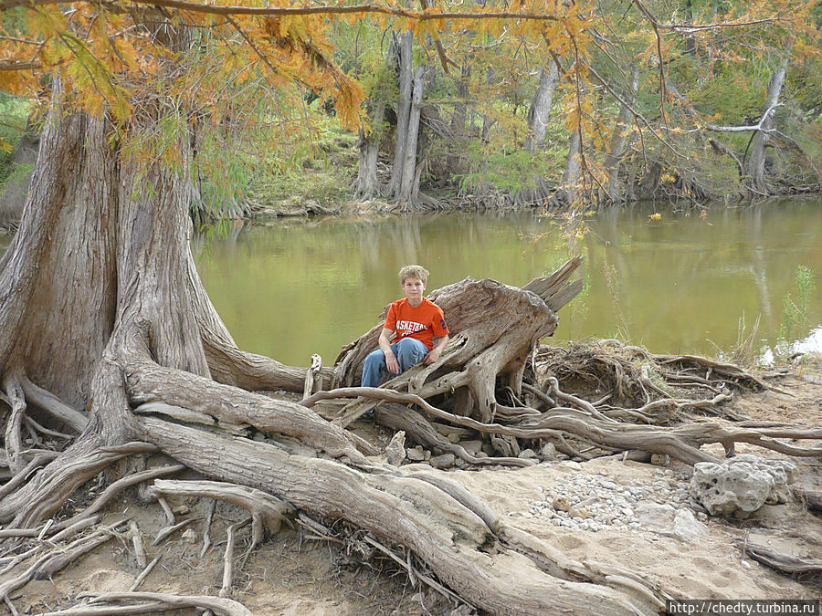 Фотография старая. Димка еще молодой.