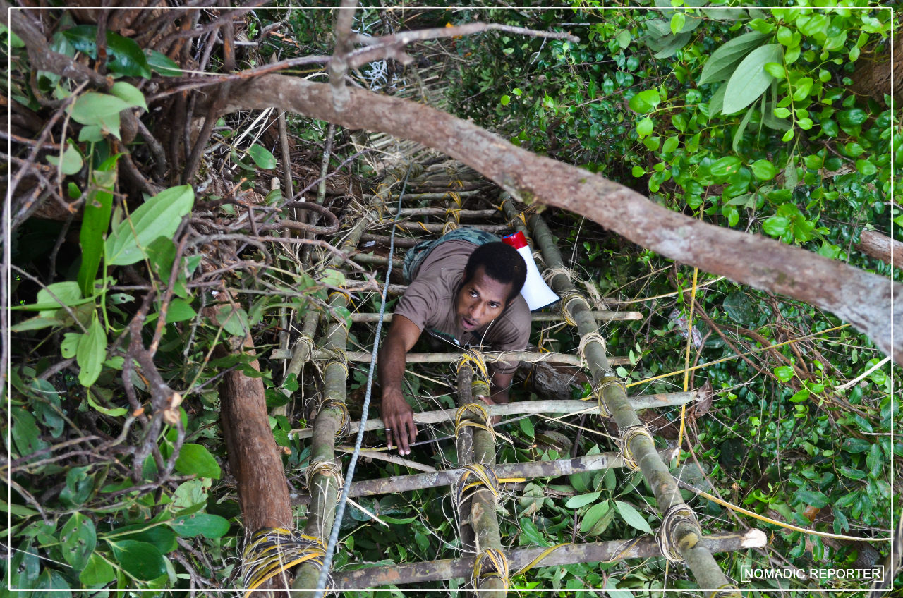 Коровайский пентхаус Папуа, Индонезия