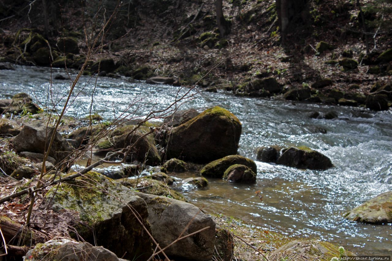 Река Каменка Сколевские Бескиды Национальный Парк, Украина