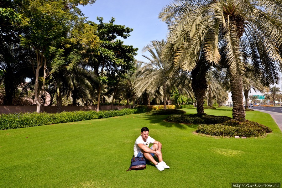 Опечаленный фактом, что попасть на заветные территории, не удастся (тупо жалко 1200 дирхам), присел на свеже подстриженный газон в тени пальм. Дубай, ОАЭ