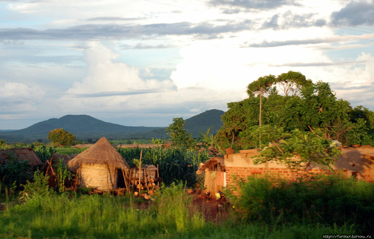 Вот они — Зеленые холмы Африки Виктория-Фоллс, Зимбабве