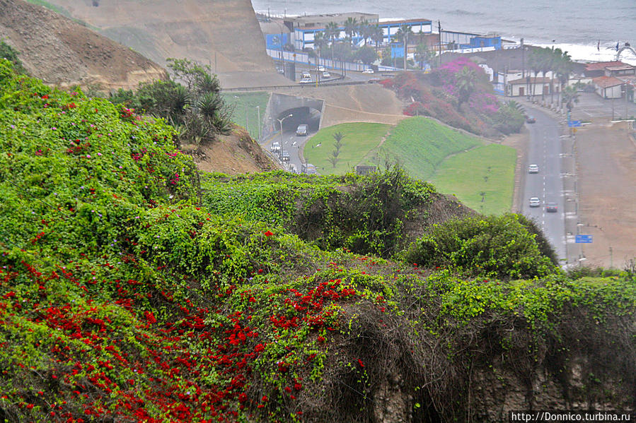 Найди цветы в сердце своем, Лима Лима, Перу