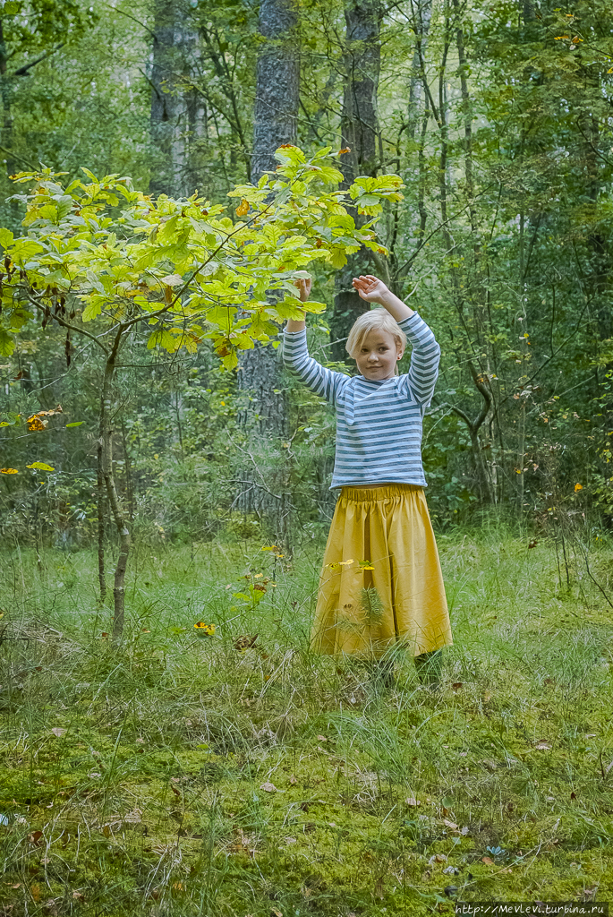 Остров Буллю Рига, Латвия