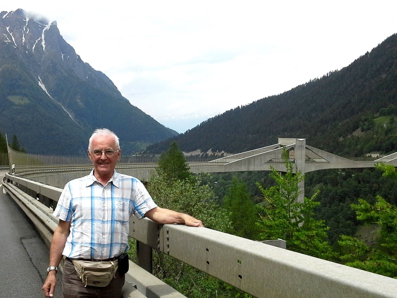 Сенбернар на Симплоне Кантон Вале, Швейцария