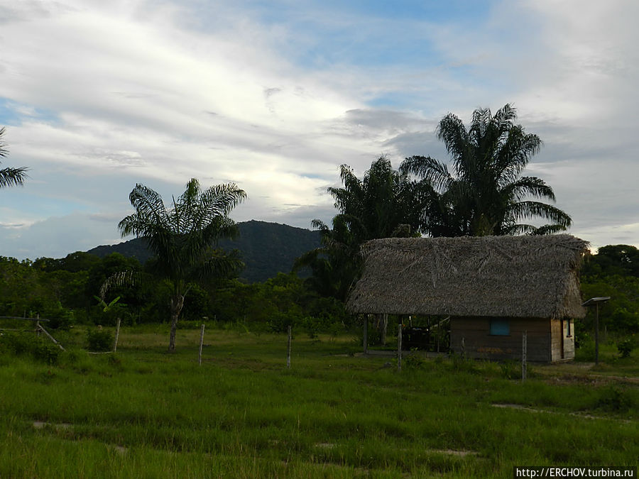 Дальние страны. Часть 9. Деревня Сурама и местный шаман Регион Потаро-Сипаруни, Гайана