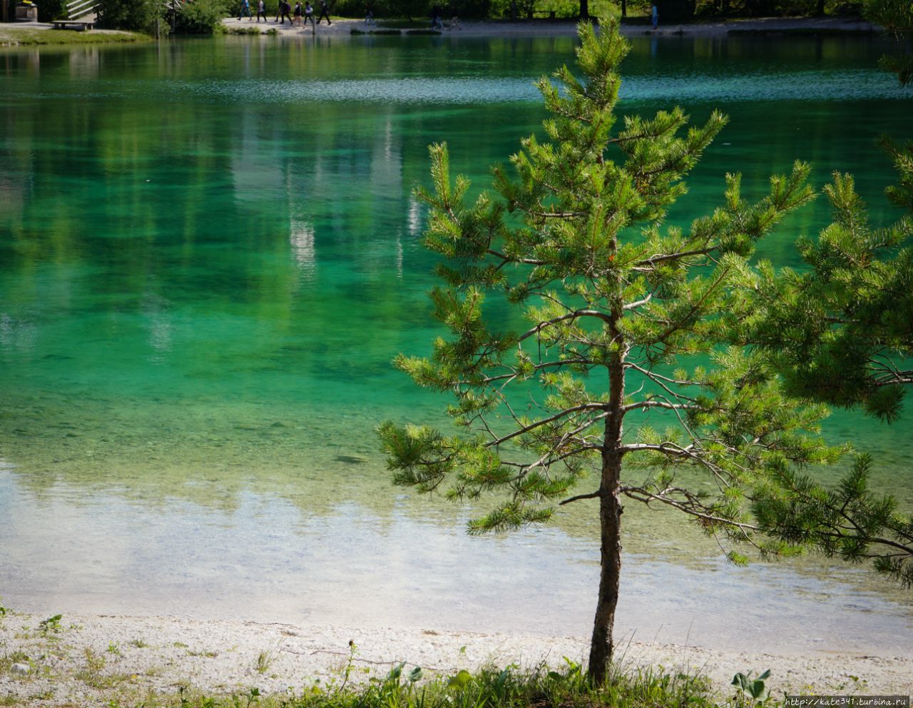 День красоты. Краньска гора. Краньска Гора, Словения