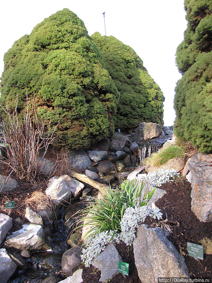 Ручей на горке — каменистом саду.