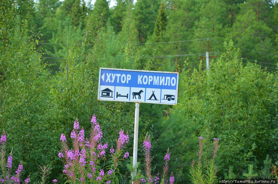 Хутор в таёжных лесах Кормило (озеро), Россия