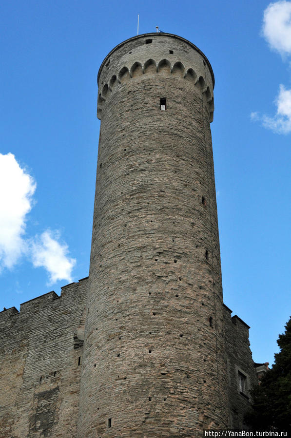 Башня Длинный Герман. Эта башня является важнейшим национальным символом, так как на ней традиционно водружается флаг государства Эстонии. Таллин, Эстония