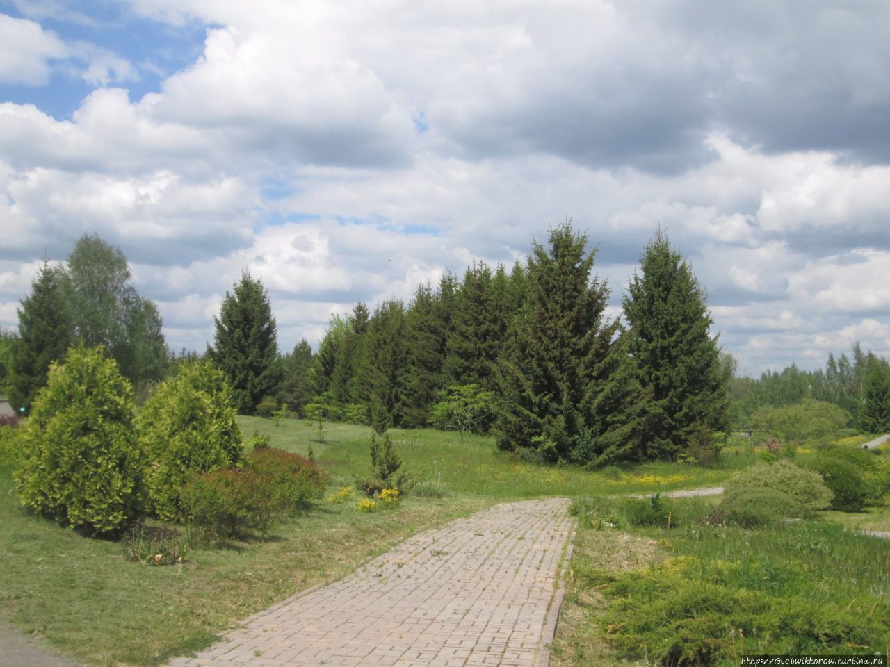 Прогулка в Дендрологический сад Нарочанского парка Мядель, Беларусь