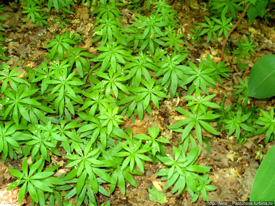Последний день весны Оренбургская область, Россия