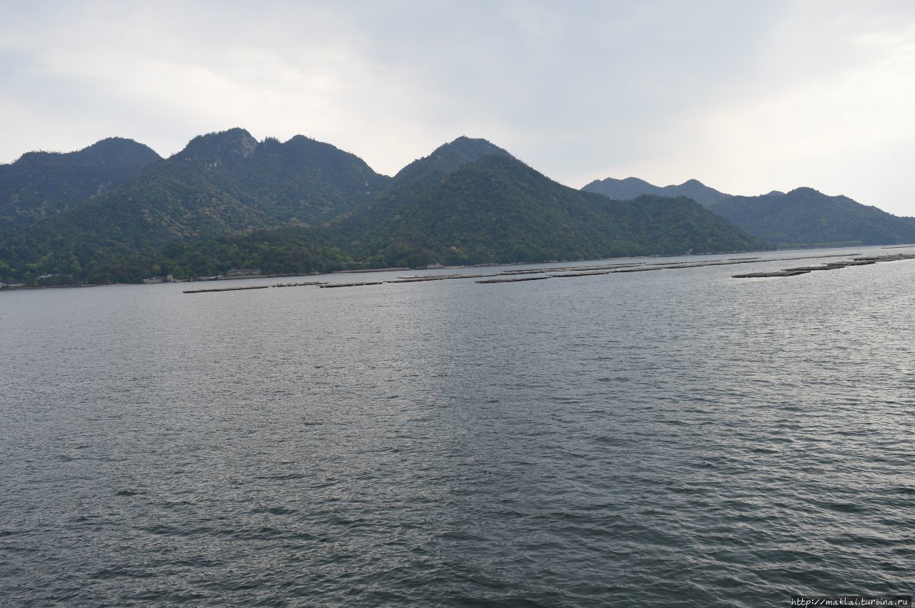 Остров Миядзима Хацукайти, Япония