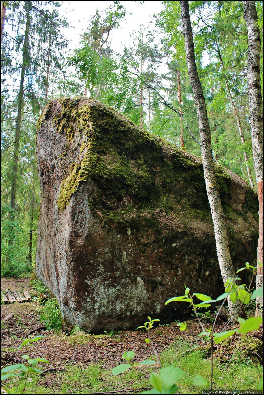 Велесов камень, где обитают старые боги Волосово, Россия