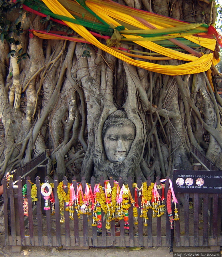Самостоятельное посещение Аюттхаи (памятника ЮНЕСКО 576) Аюттхая, Таиланд