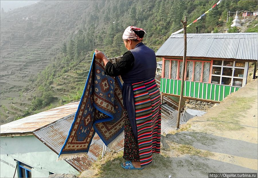 За курочкой, или мечты сбываются в Туло Сябру Лангтанг, Непал