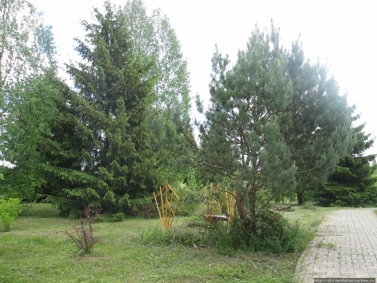 Прогулка в Дендрологический сад Нарочанского парка