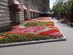 Очень понравились цветники перед ГУМом у Красной Площади
