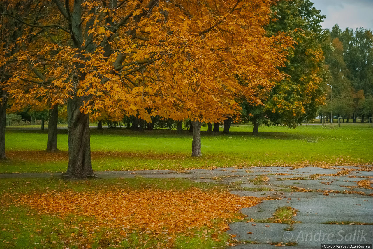 Осень в парках Агенскалнса Рига, Латвия